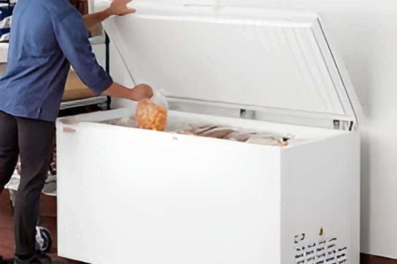 Freezer Repair in Homeland